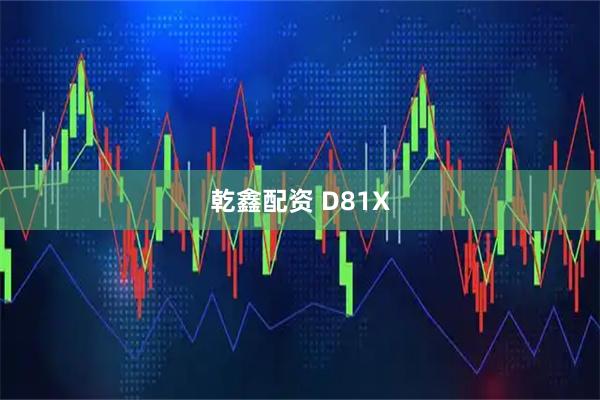 乾鑫配资 D81X