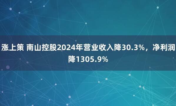 涨上策 南山控股2024年营业收入降30.3%，净利润降1305.9%