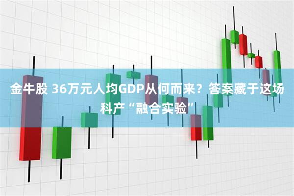 金牛股 36万元人均GDP从何而来？答案藏于这场科产“融合实验”