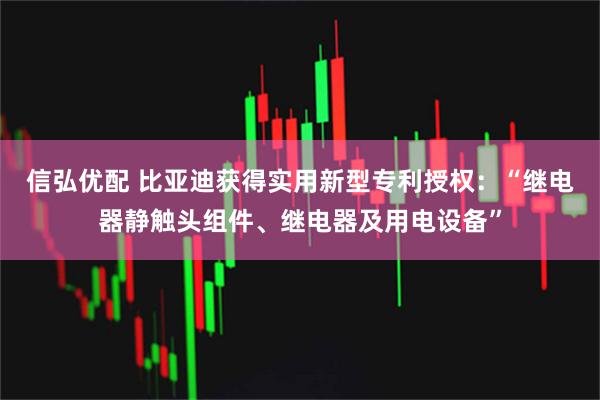 信弘优配 比亚迪获得实用新型专利授权：“继电器静触头组件、继电器及用电设备”