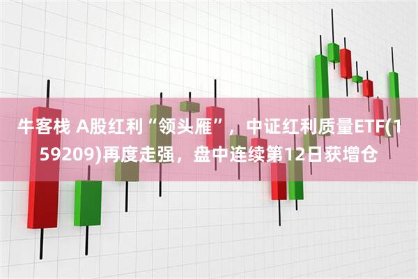 牛客栈 A股红利“领头雁”，中证红利质量ETF(159209)再度走强，盘中连续第12日获增仓