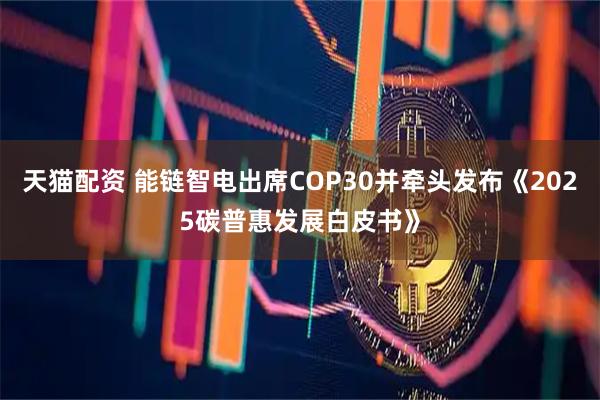 天猫配资 能链智电出席COP30并牵头发布《2025碳普惠发展白皮书》