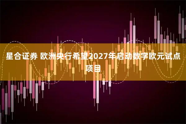 星合证券 欧洲央行希望2027年启动数字欧元试点项目
